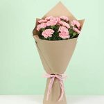 Perfect 12 Light Pink Carnations Bouquet
