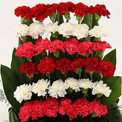 Mixed Carnations Cane Basket Arrangement