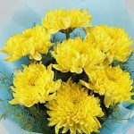 Bright Sunny Chrysanthemums