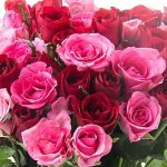 Touch Of Rosy Grace Floral Arrangement